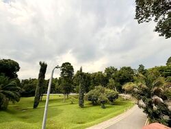 Cluny Park (D10), Detached #604383441